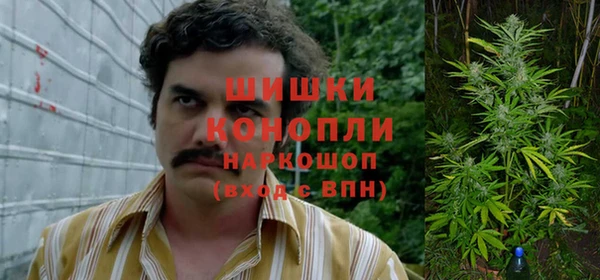 ГАЛЛЮЦИНОГЕННЫЕ ГРИБЫ Куйбышев