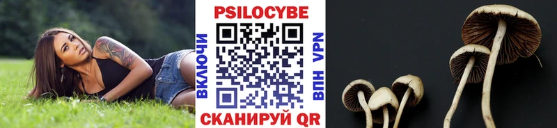 Галлюциногенные грибы GOLDEN TEACHER  ОМГ ОМГ зеркало  Тихорецк  купить  
