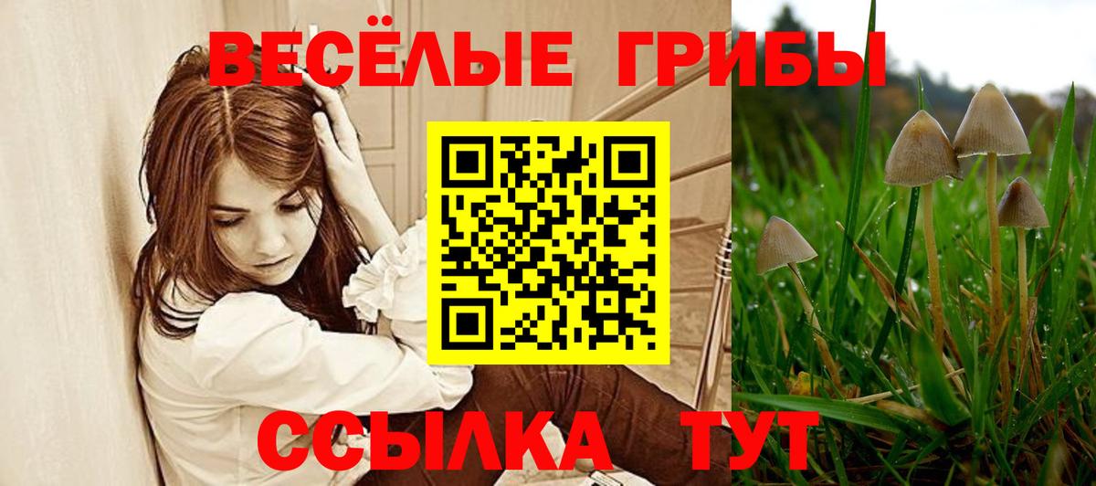 Галлюциногенные грибы GOLDEN TEACHER  Вход с VPN  купить закладку  Тихорецк 