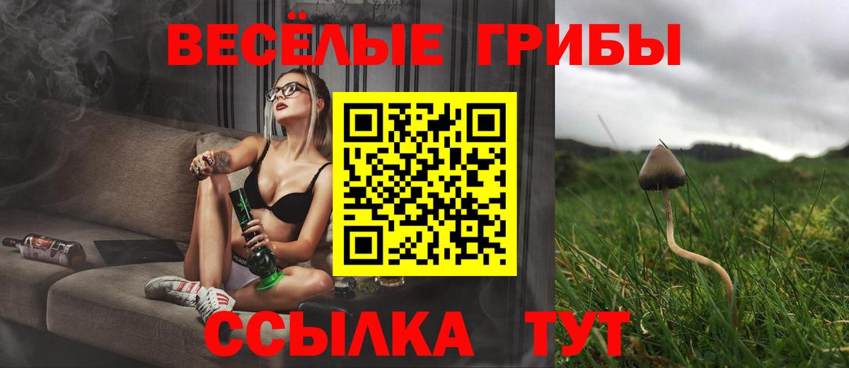 Псилоцибиновые грибы Cubensis Тихорецк